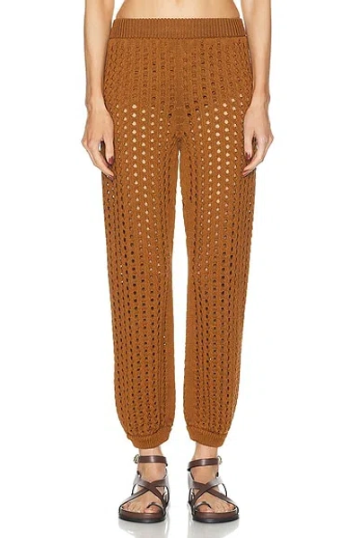 Max Mara Cecina Pants In Tobacco