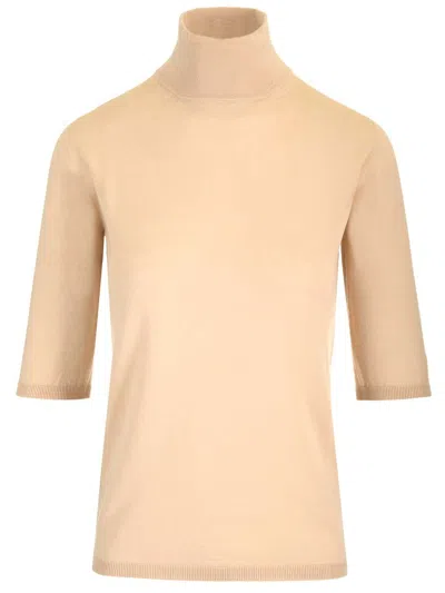 Max Mara Cecina Turtleneck In Brown