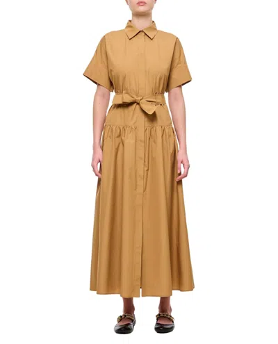 Max Mara Chemisier Dress In Brown
