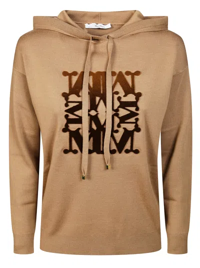 Max Mara Chic Women's Top In Brown