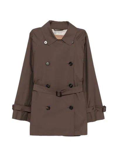 Max Mara Chocolate Cotton Polyester Mtccalle In Brown