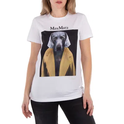 Max Mara Cipria Cotton T-shirt In Brown