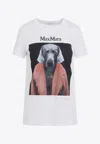 Max Mara Cipria T-shirt In Multicolor