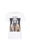 Max Mara White Cotton Cipria T-shirt In White