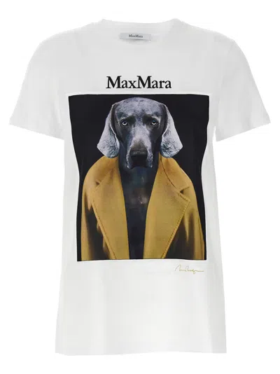 Max Mara Cipria Graphic Print T-shirt In Brown