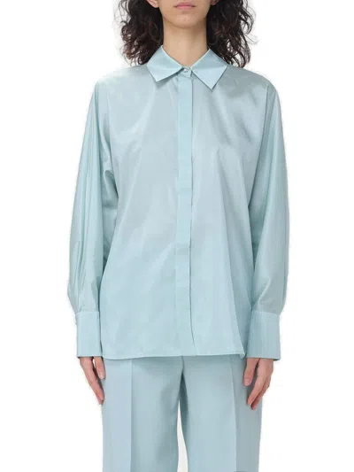 Max Mara Studio Clan Buttoned Long-sleeved Top In Blue