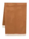 Max Mara Cashmere Scarf In Brown