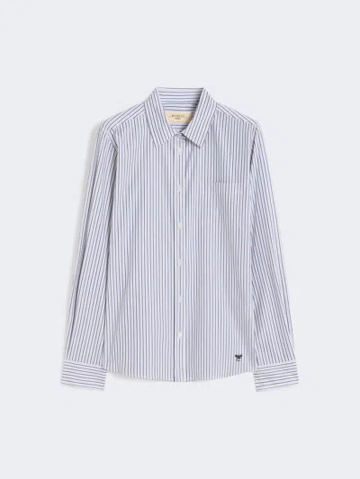 Max Mara Classic Cotton Shirt In Blue