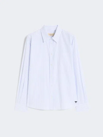 Max Mara Classic Cotton Shirt In Blue