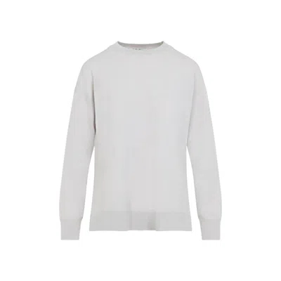 Max Mara Classic Crew Neck Wool Jumper In Nude & Neutrals In Grey