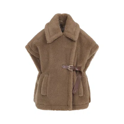 Max Mara Coat In Brown