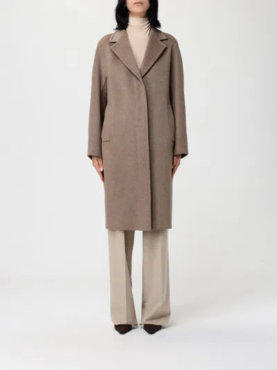 Max Mara Coat  Woman Color Brown