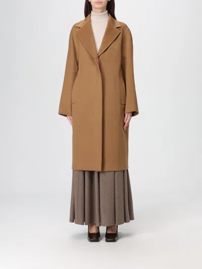 Max Mara Coat  Woman Color Cream In Brown