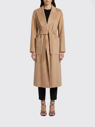 Max Mara Coat  Woman Color Brown