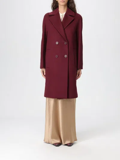 Max Mara Coat Woman  Studio In Burgundy