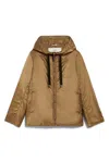 Max Mara Dark Brown Regular Fit Jacket In Brown
