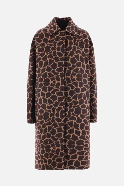 Max Mara Coats In Camel+brown