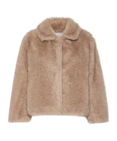 Max Mara Collared Long-sleeved Cotton Coat In Brown