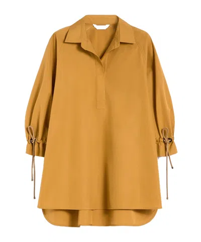 Max Mara Collared Shirt In Brown