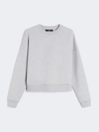 Max Mara Cotton Boxy Sweatshirt In Gray