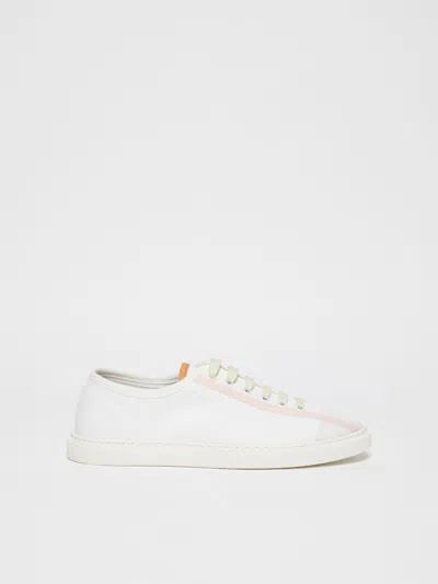 Max Mara Cotton Canvas Sneakers In White