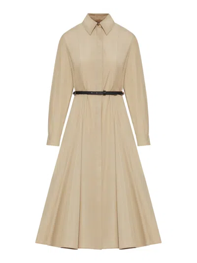 Max Mara Cotton Chemisier Dress In Neutral