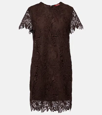 Max Mara Cotton Guipure Lace Minidress In Brown