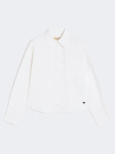 Max Mara Cotton Oxford Shirt In White