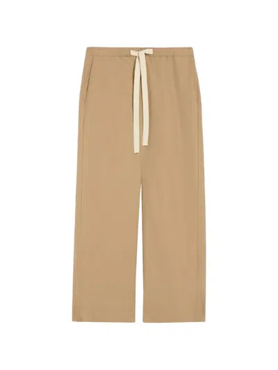Max Mara Cotton Pants In Brown