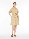 Max Mara Weekend Virgus Poplin Shirt Dress In Colonial In Colonial