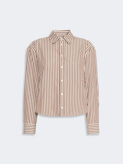 Max Mara Cotton Poplin Shirt In Brown