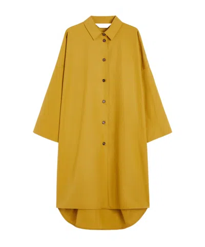 Max Mara Cotton Poplin Shirt Dress In Silver