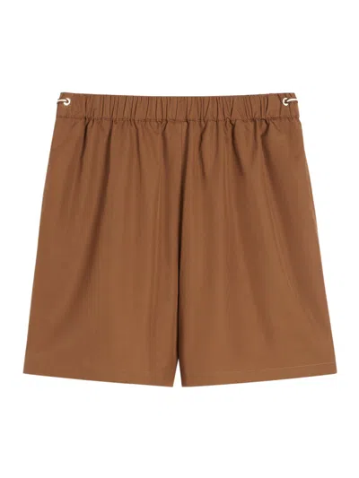 MAX MARA COTTON POPLIN SHORTS
