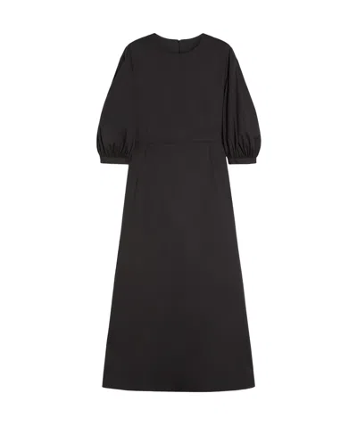 Max Mara Cotton Round-neck Dress In Black