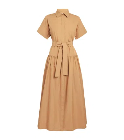 Max Mara Cotton Shirt Dress In Brown