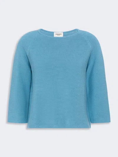 Max Mara Cotton Yarn Sweater In Blue