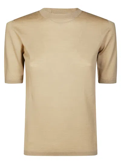 Max Mara Cozy Short Sleeve Wool Sweater In Brown