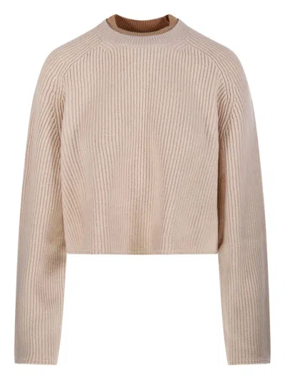 Max Mara Crew Neck Sweater In Cashmere Wool In Brown