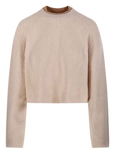 Max Mara Crew Neck Sweater In Cashmere Wool In Neutral