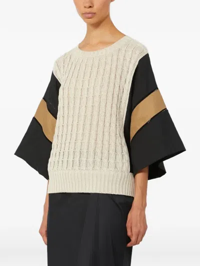 Max Mara Crew Neck Knitwear In Multi