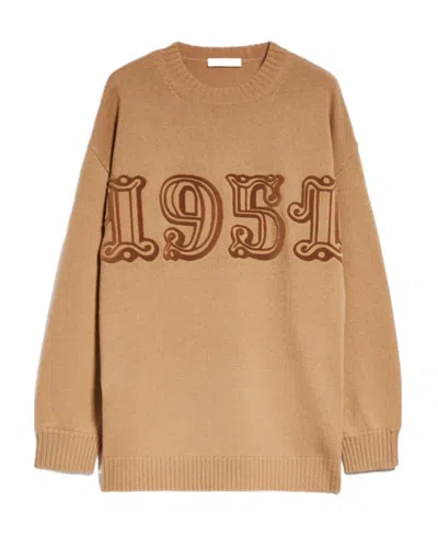 Max Mara Fido 1951 Wool And Cashmere Sweater In Brown