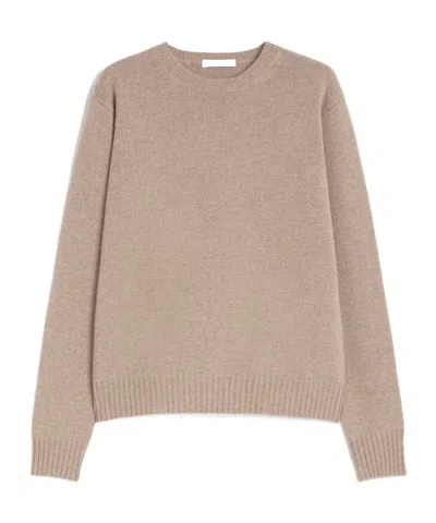Max Mara Crewneck Knit Sweater In Brown