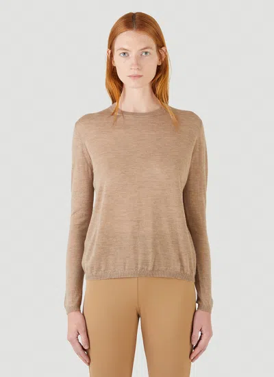Max Mara Crewneck Knit Top In Multi