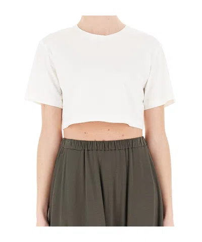 Max Mara Cropped T-shirt