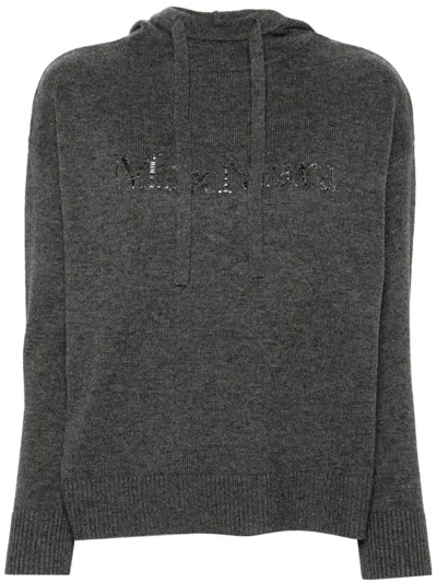 Max Mara Crystal-logo Hoodie In Grey