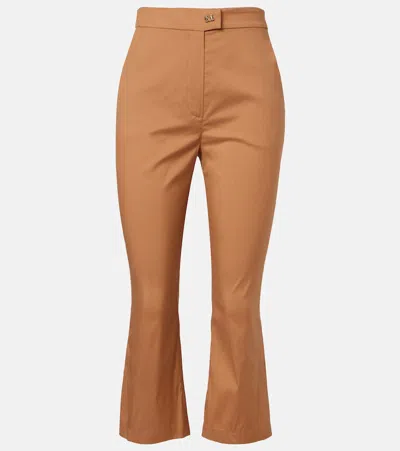 Max Mara Curve Cotton-blend Cropped Straight Pants In Brown