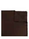 Max Mara Curvone Wool And Silk Scarf In Brown