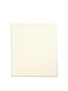 Max Mara Curvone Wool And Silk Shawl In White