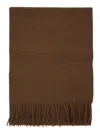 Max Mara 'dalia' Brown Rectangular Scarf With Logo Embroidery On The Front And Fringed Hem In Cashme
