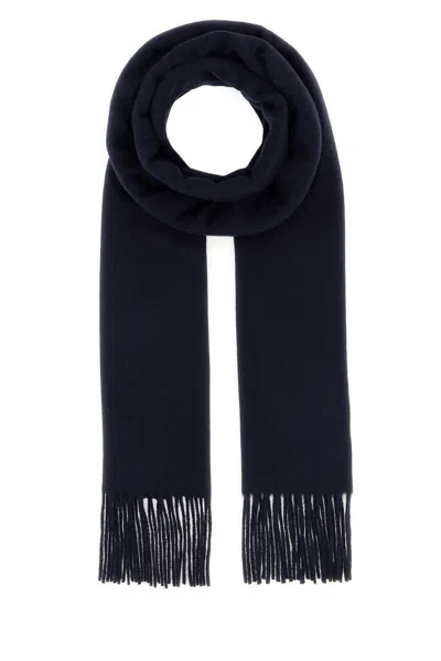 Max Mara Dalia Cashmere Scarf In Blue